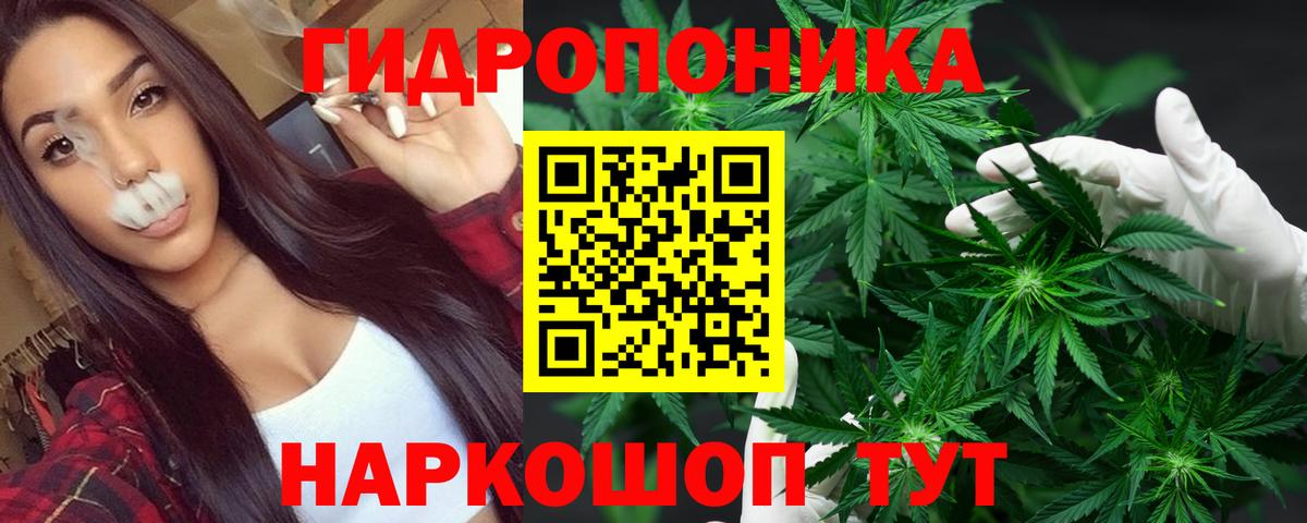 Каннабис OG Kush Кыштым